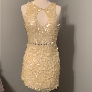 Arden B. Sequin dress